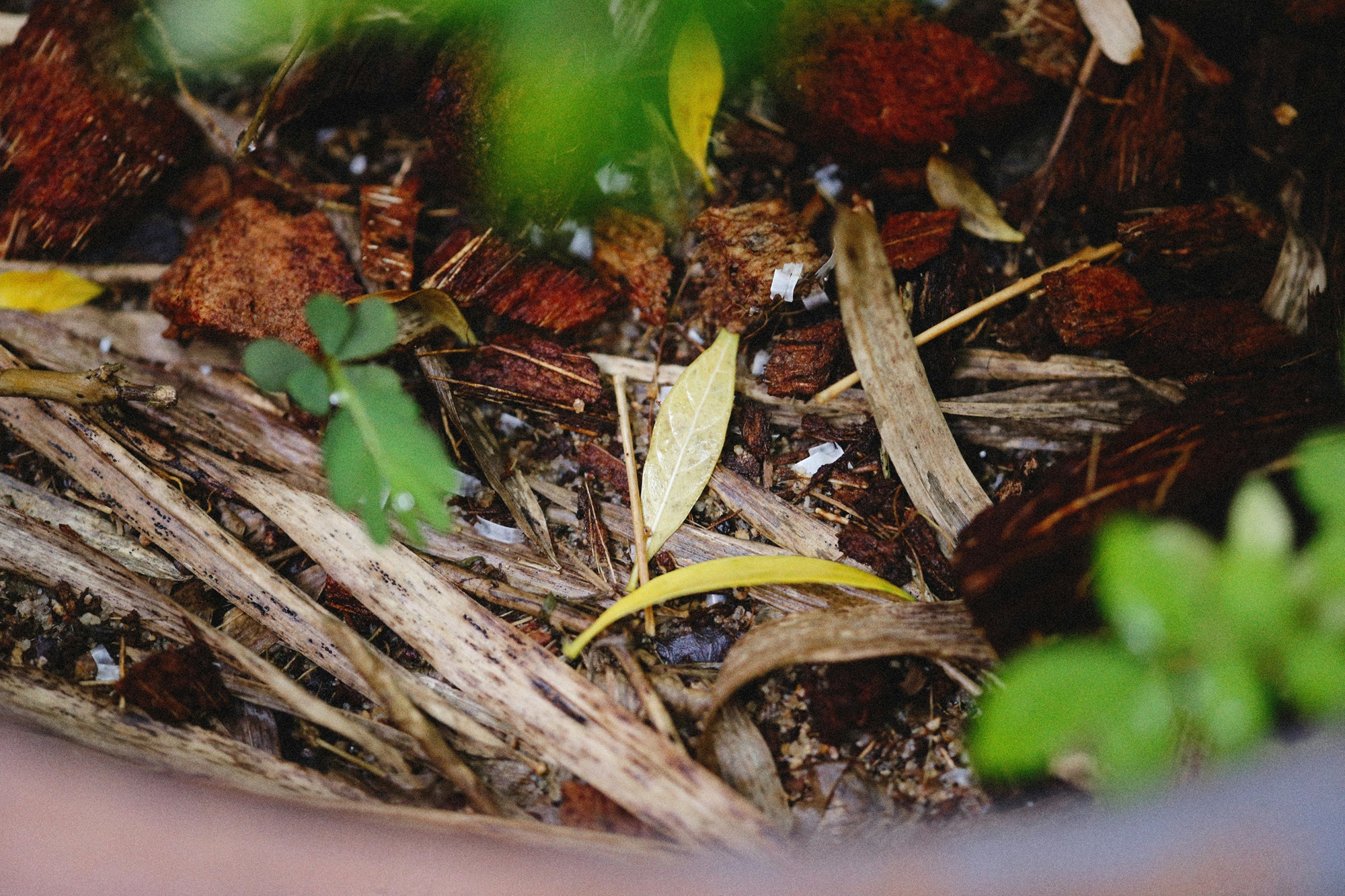 How to Start Composting at Home: A Beginner’s Guide